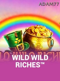 Wild Wild Riches banner